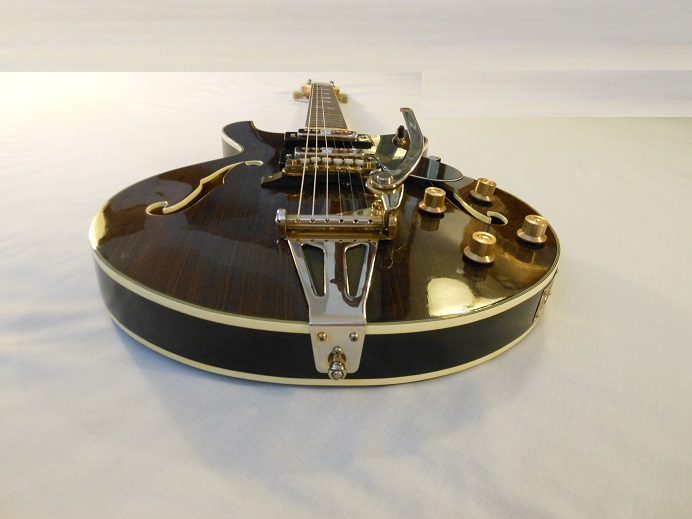 HollowBodyRosewood Picture 12